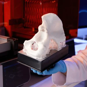 formlabs-form-4b-anatomisches-modell-becken